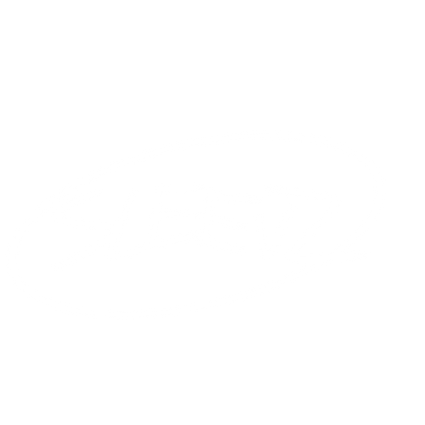 Sleevz